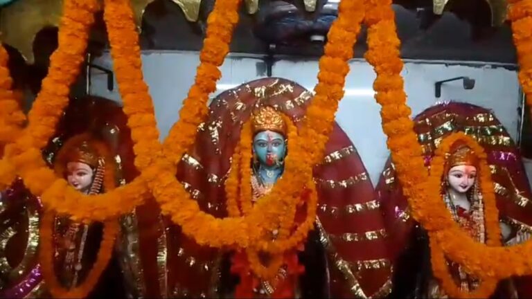 माता महाकाली के दरबार में भव्य श्रृंगार, भजन-कीर्तन और हवन से भक्तों ने किया महापर्व का आनंद!