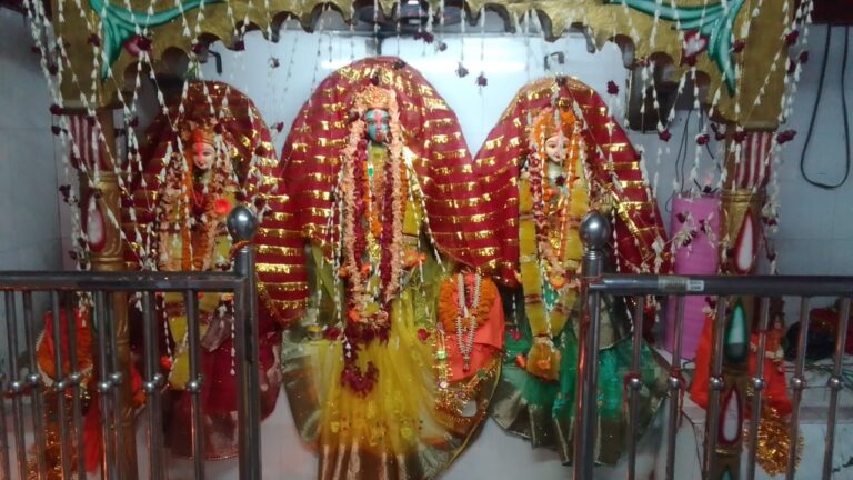 माता महाकाली मंदिर में चैत्र नवरात्रि के चौथे दिन भव्‍य श्रृंगार, भजन-कीर्तन से गूंजा दरबार