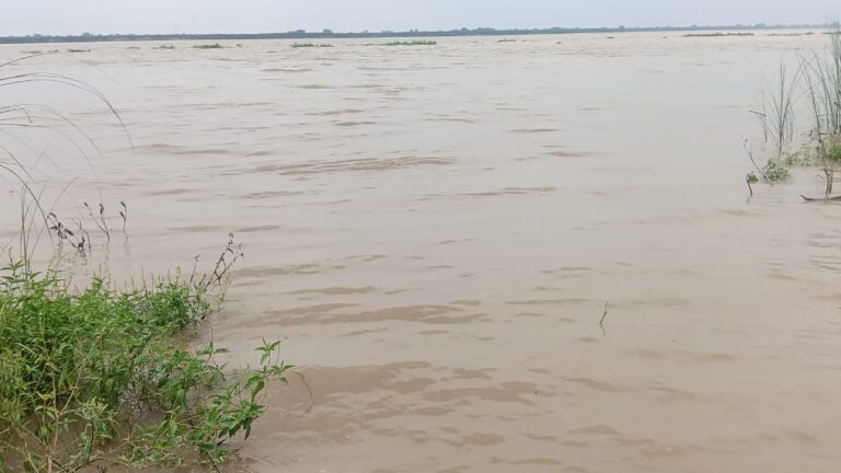 “गंगा के बढ़ते जलस्तर से दहशत में सेमरा गांव, तटबंध टूटने का डर… कटान की दहशत फिर लौट आई!”